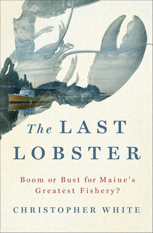 Last Lobster