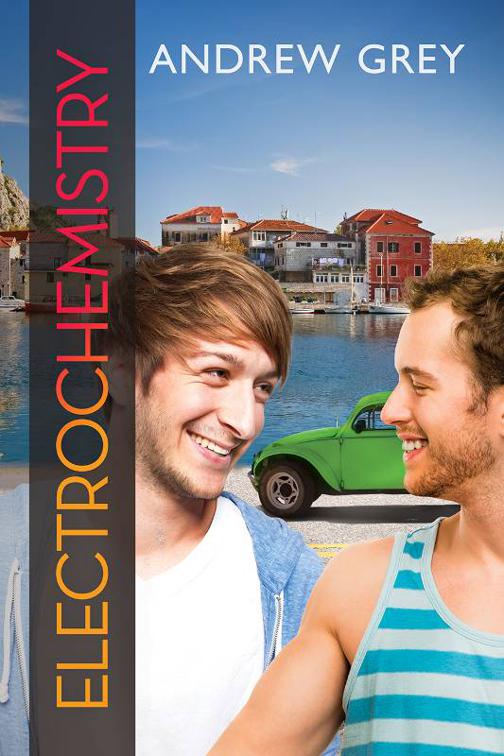 This image is the cover for the book Electrochemistry, Chemistry Series