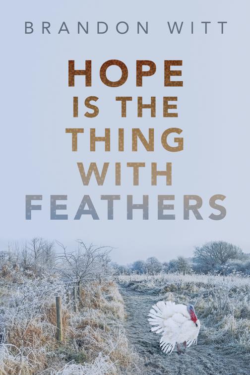 This image is the cover for the book Hope Is the Thing with Feathers, 2017 Advent Calendar - Stocking Stuffers