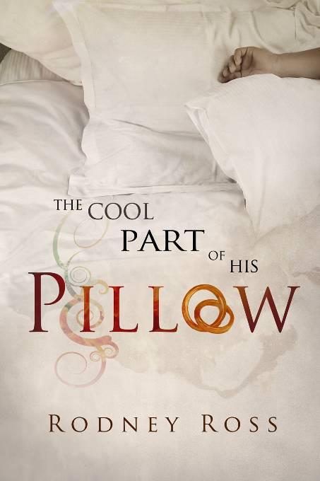 The Cool Part of His Pillow