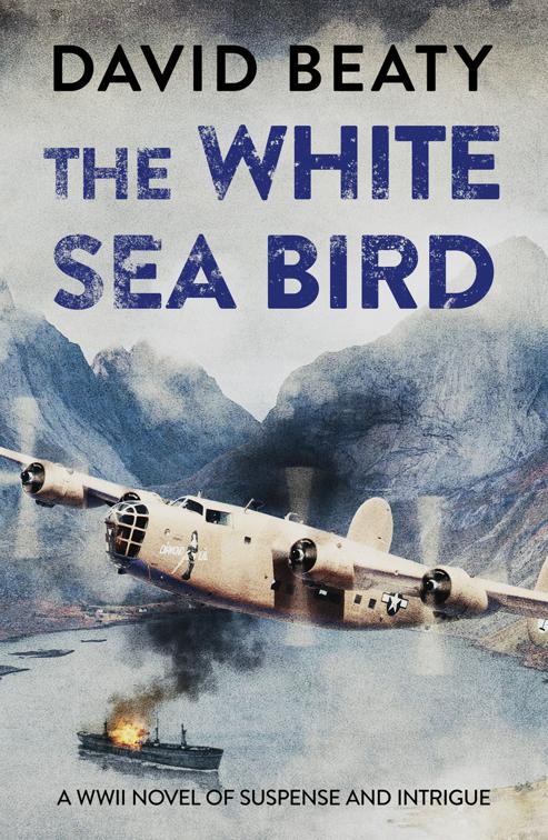 White Sea Bird