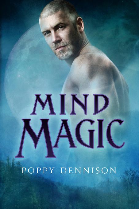 This image is the cover for the book Mind Magic, Triad