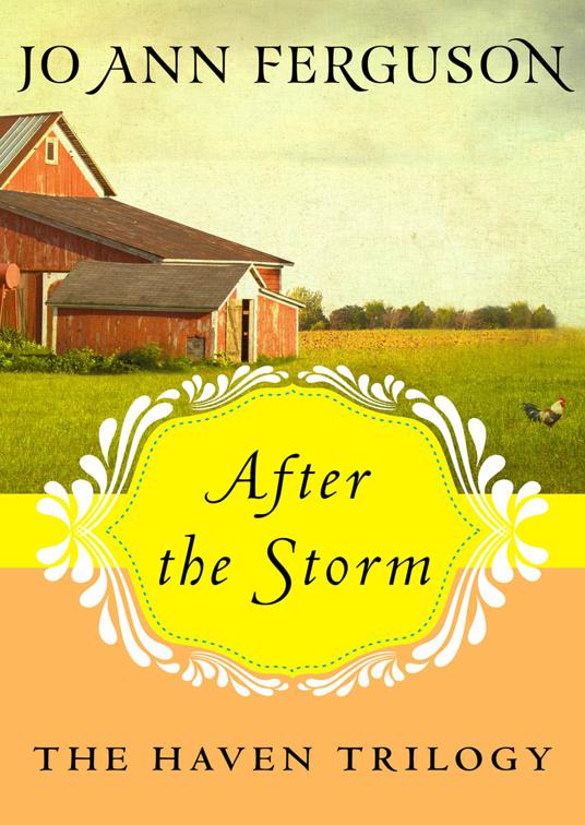 After the Storm, The Haven Trilogy