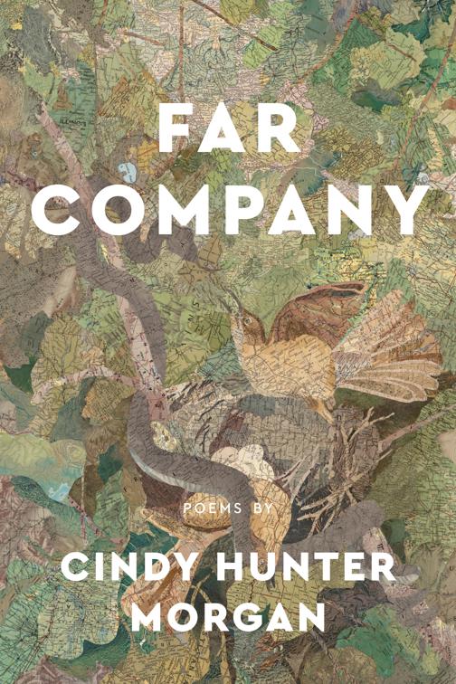 Far Company, Made in Michigan Writers Series