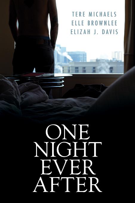 This image is the cover for the book One Night Ever After