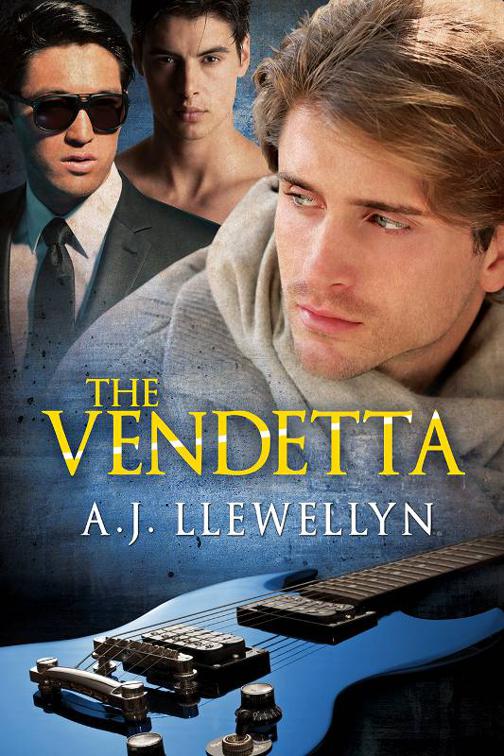 This image is the cover for the book The Vendetta