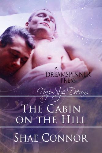 This image is the cover for the book The Cabin on the Hill