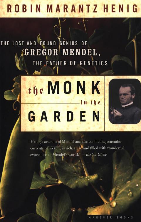 Monk in the Garden