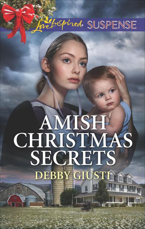 Amish Christmas Secrets, Amish Protectors