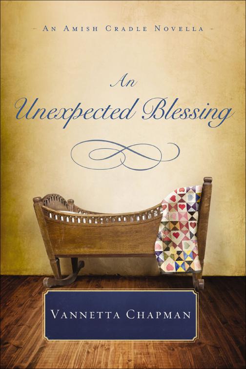 Unexpected Blessing, Amish Cradle Novellas