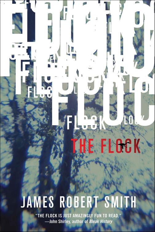 Flock