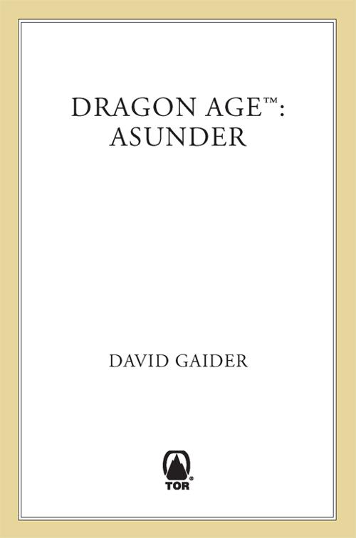 Dragon Age: Asunder, Dragon Age