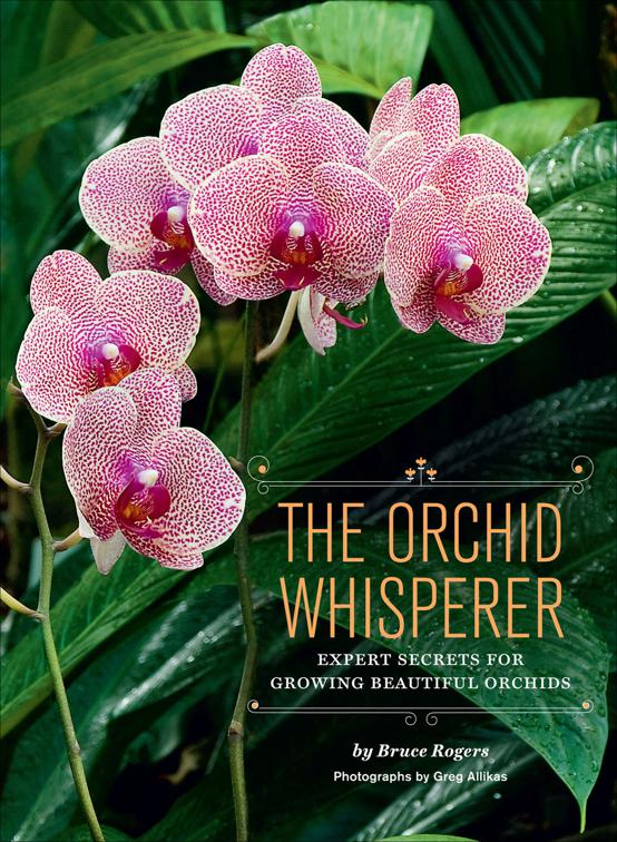 Orchid Whisperer