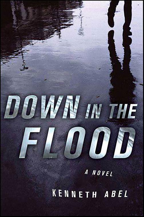 Down in the Flood, Danny Chaisson Series