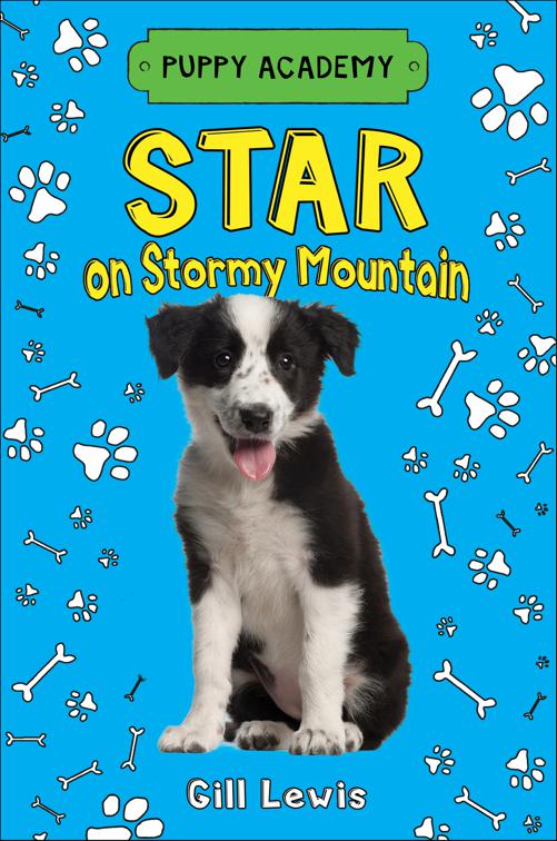 Star on Stormy Mountain, Puppy Academy