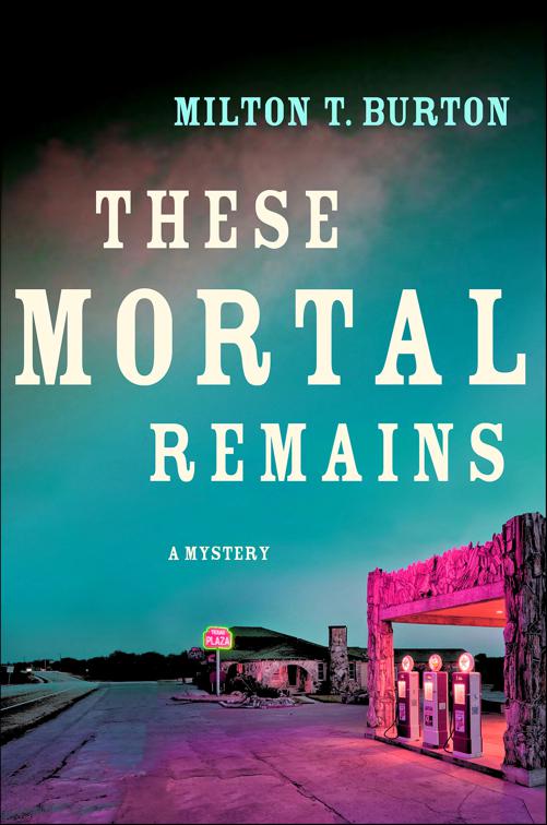 These Mortal Remains, Texas Mysteries