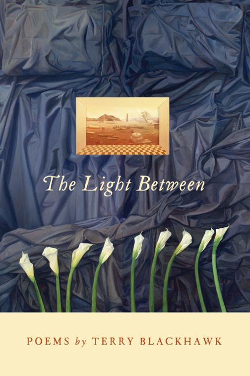 The Light Between, Made in Michigan Writers Series