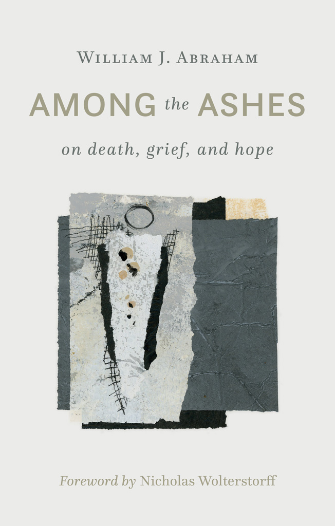 This image is the cover for the book Among the Ashes