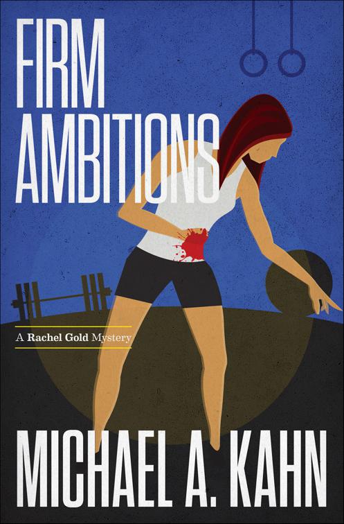 Firm Ambitions, Attorney Rachel Gold Mysteries