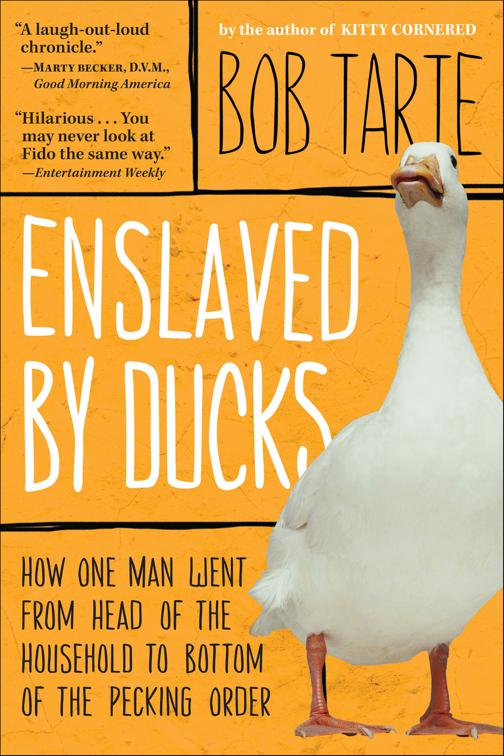 Enslaved by Ducks