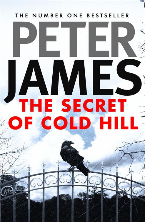 Secret of Cold Hill, The Cold Hill Ghost Stories