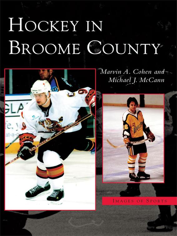 Hockey in Broome County, Images of Sports