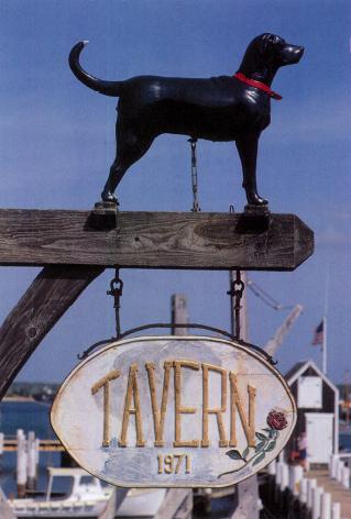 Black Dog Summer on the Vineyard Cookbook