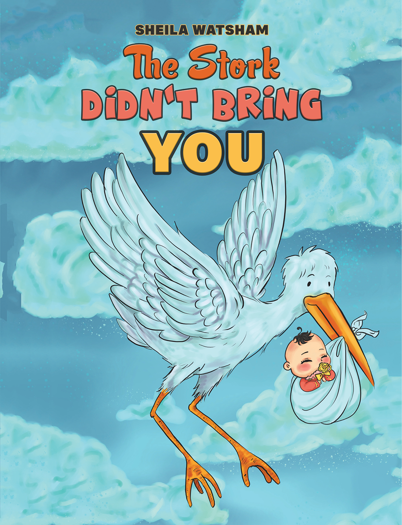 This image is the cover for the book The Stork Didn't Bring You