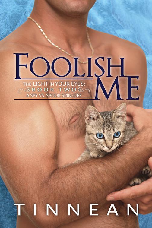 This image is the cover for the book Foolish Me, Spy vs. Spook