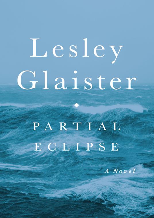 This image is the cover for the book Partial Eclipse