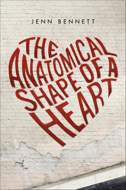 Anatomical Shape of a Heart