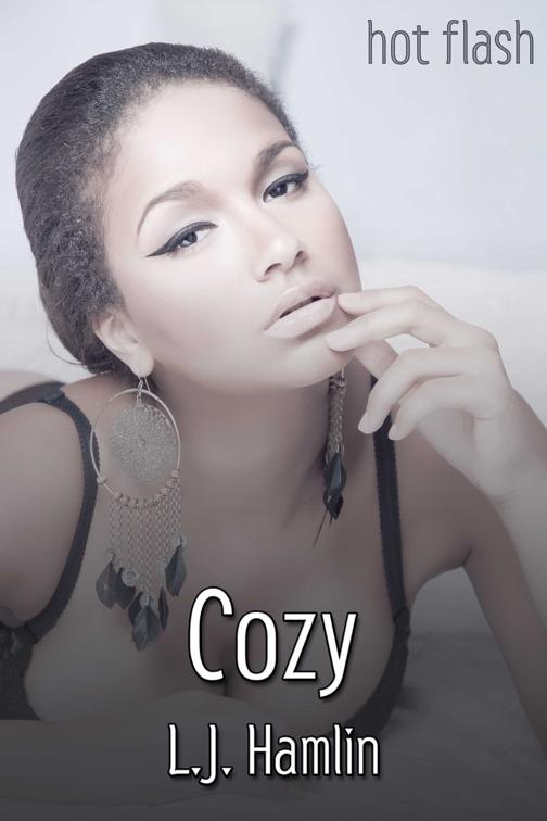 This image is the cover for the book Cozy, Hot Flash