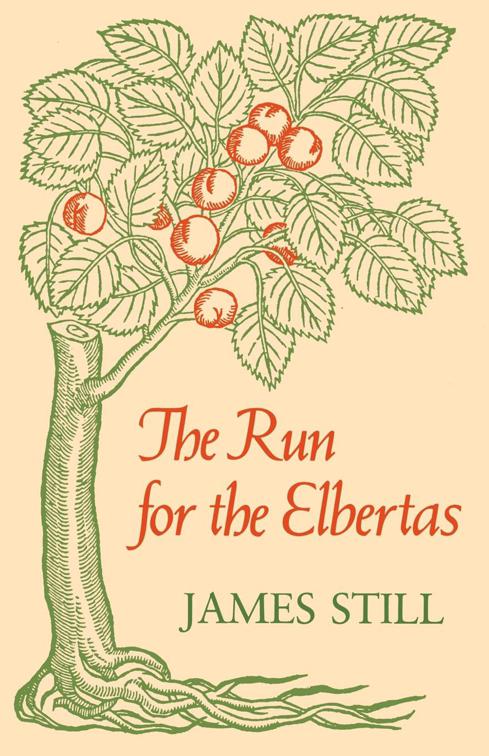 Run for the Elbertas