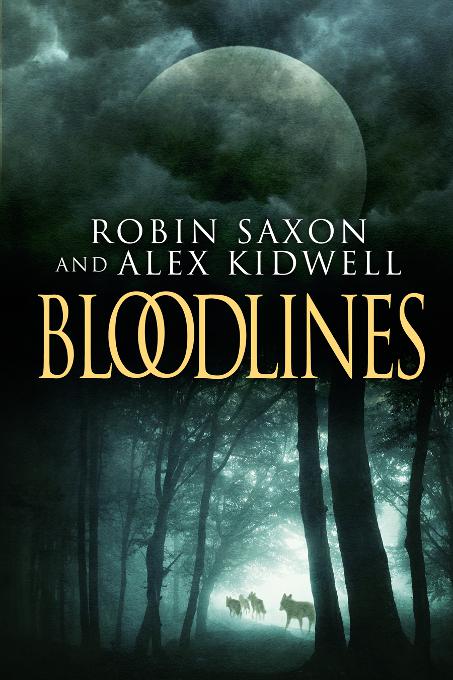 This image is the cover for the book Bloodlines, Sanguis Noctis