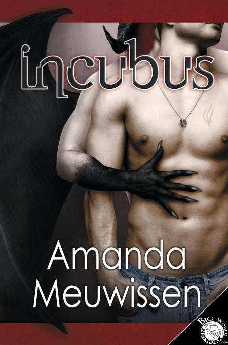 This image is the cover for the book Incubus