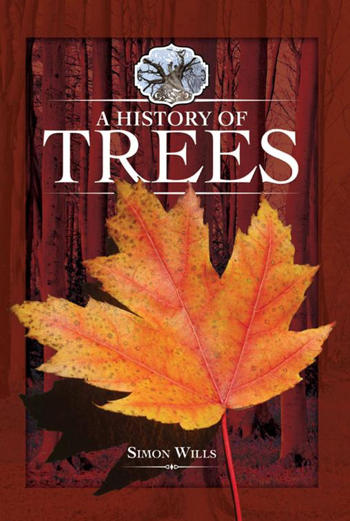 History of Trees