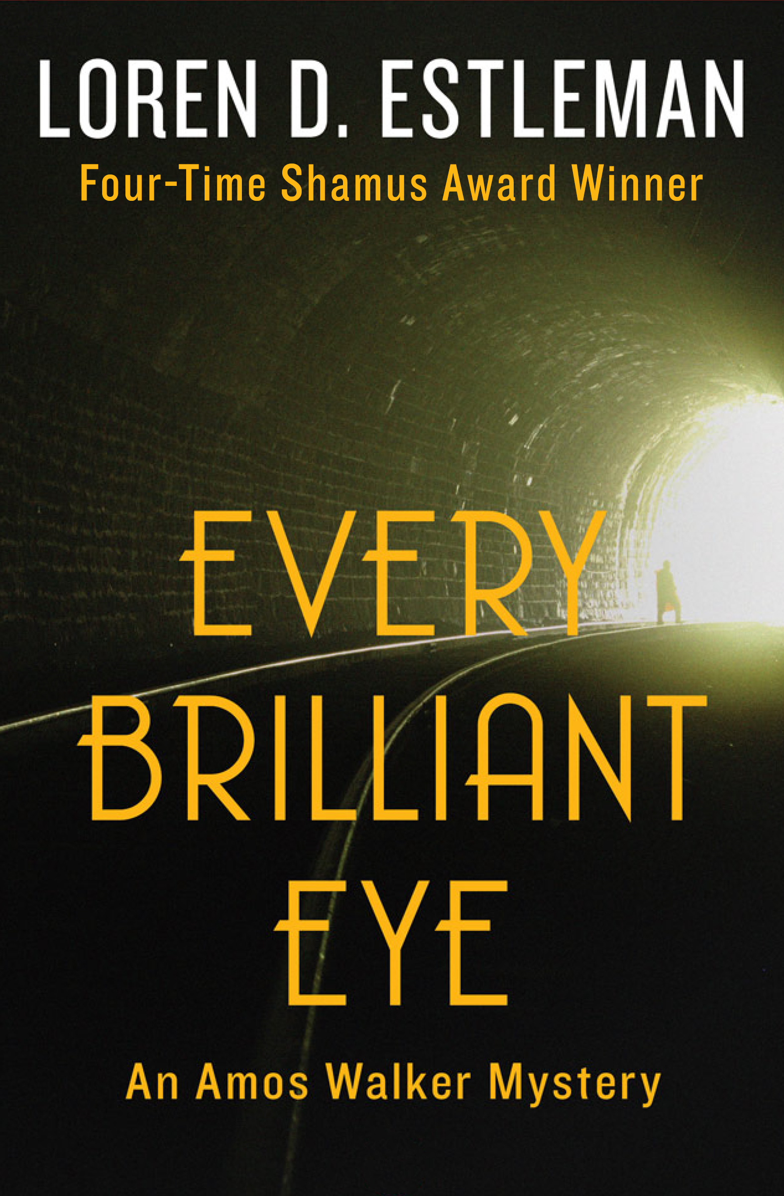 This image is the cover for the book Every Brilliant Eye, The Amos Walker Mysteries