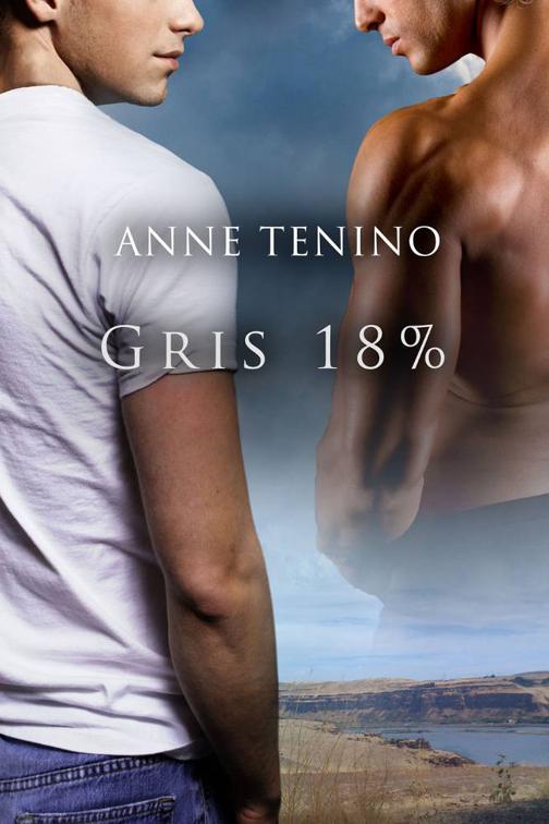 This image is the cover for the book Gris 18%, Task Force Iota