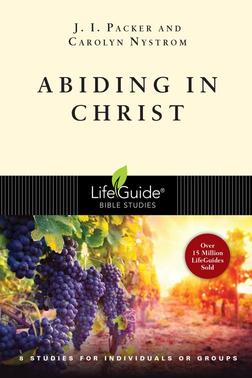 Abiding in Christ, LifeGuide Bible Studies