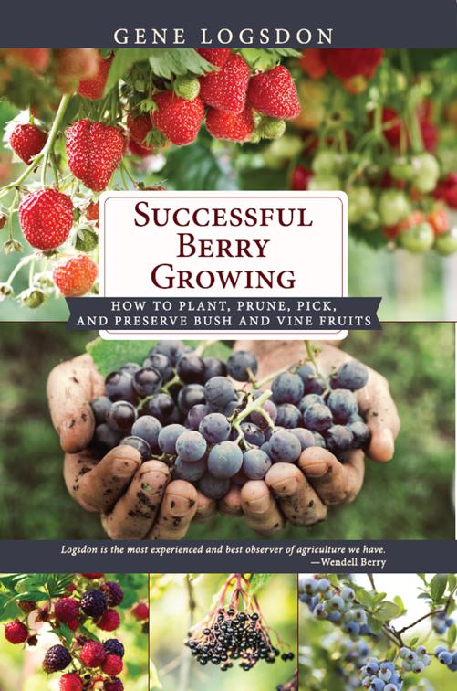 Successful Berry Growing