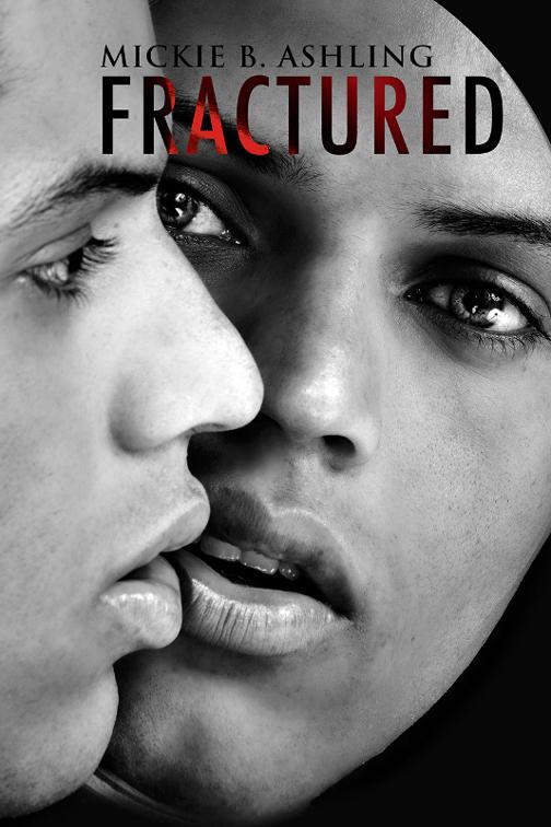 This image is the cover for the book Fractured, Bay Area Professionals