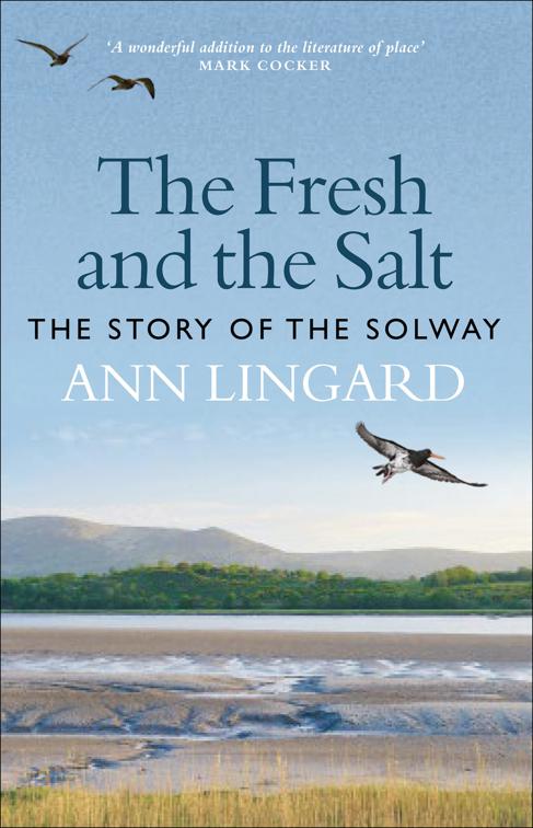 Fresh and the Salt