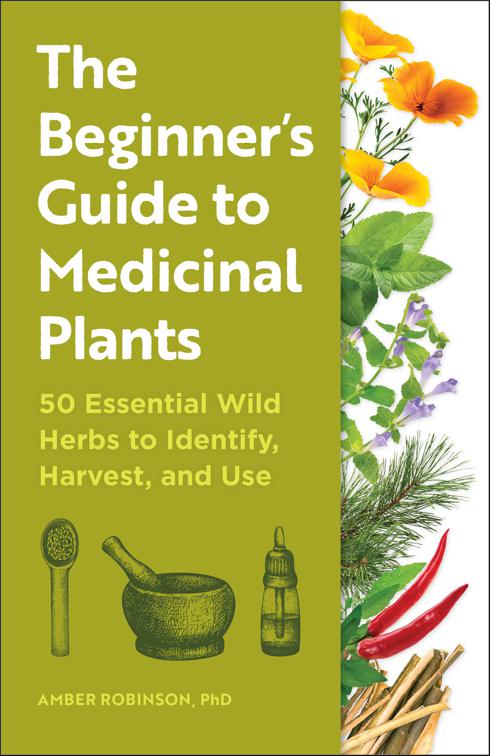 Beginner&#x27;s Guide to Medicinal Plants