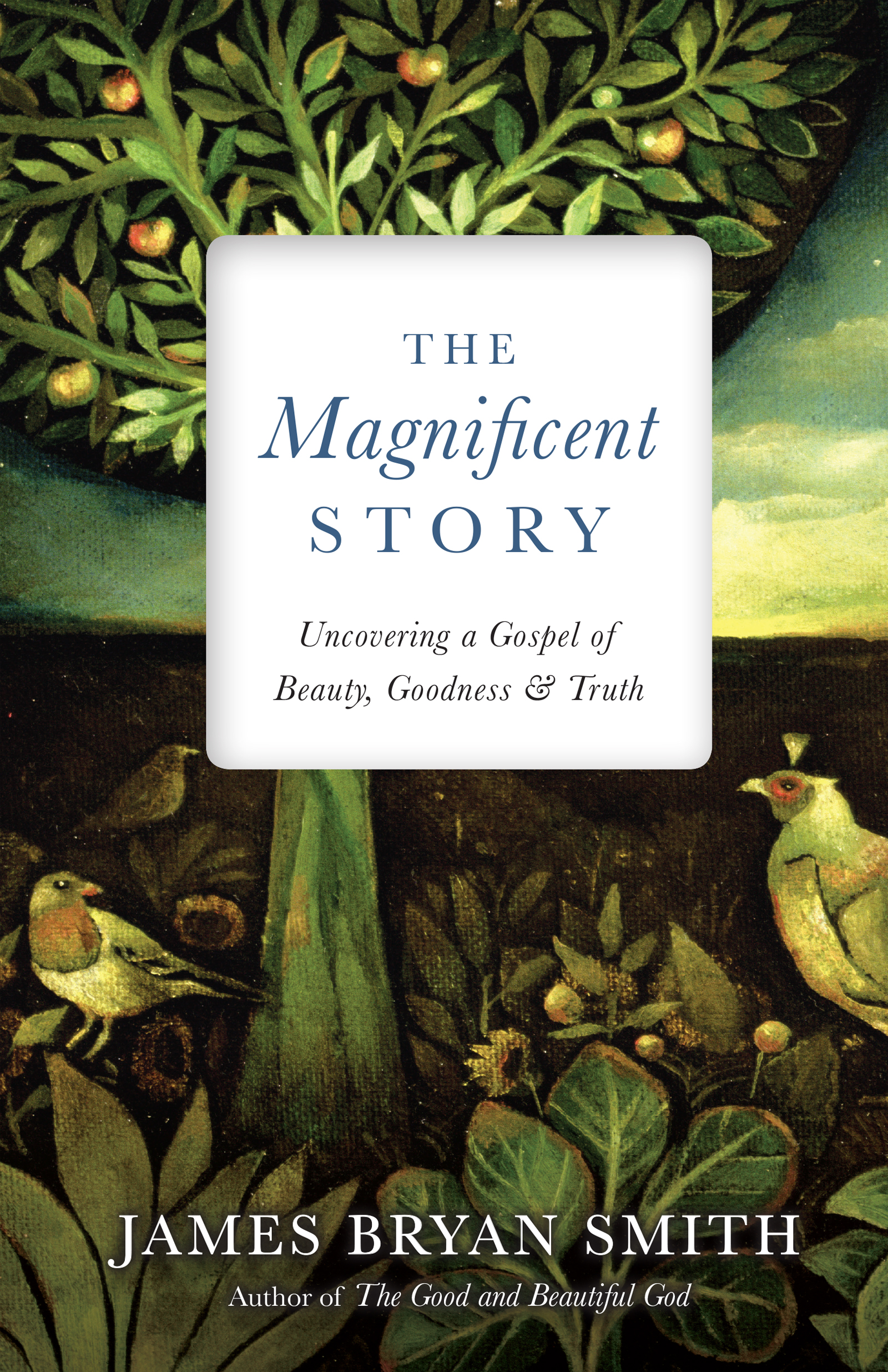 This image is the cover for the book The Magnificent Story, Apprentice Resources