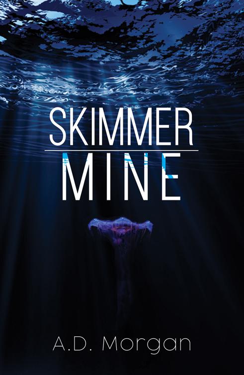 Skimmer – Mine