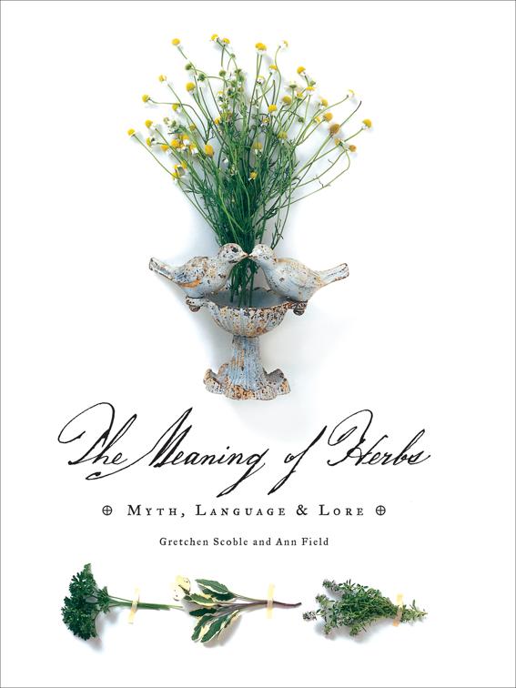 Meaning of Herbs