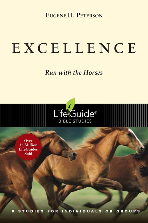 Excellence, LifeGuide Bible Studies