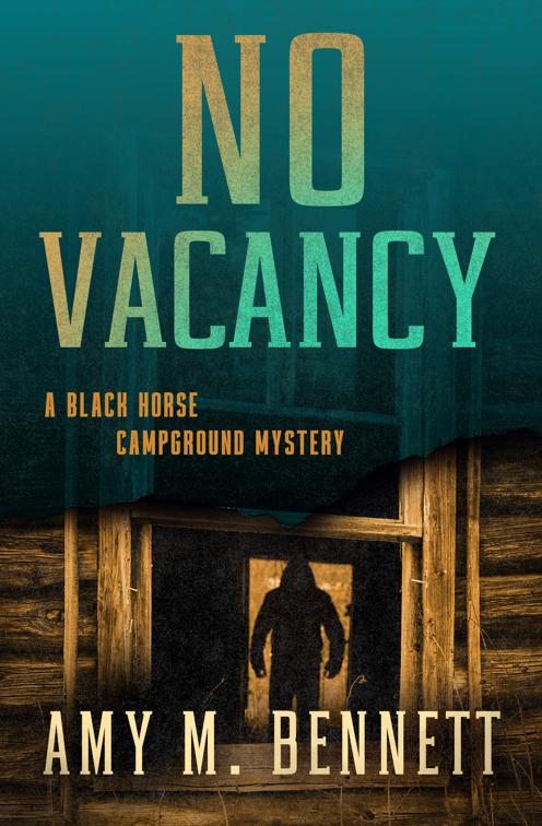 No Vacancy, Black Horse Campground Mysteries