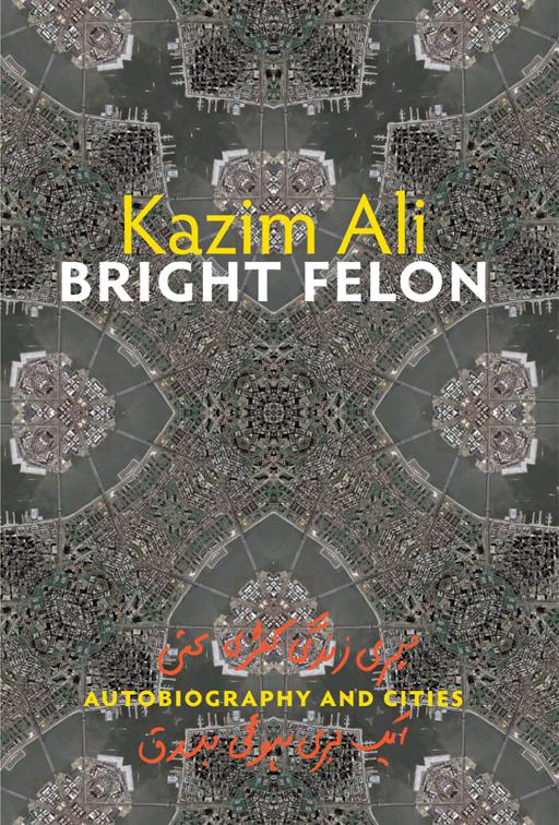 Bright Felon, Wesleyan Poetry Series