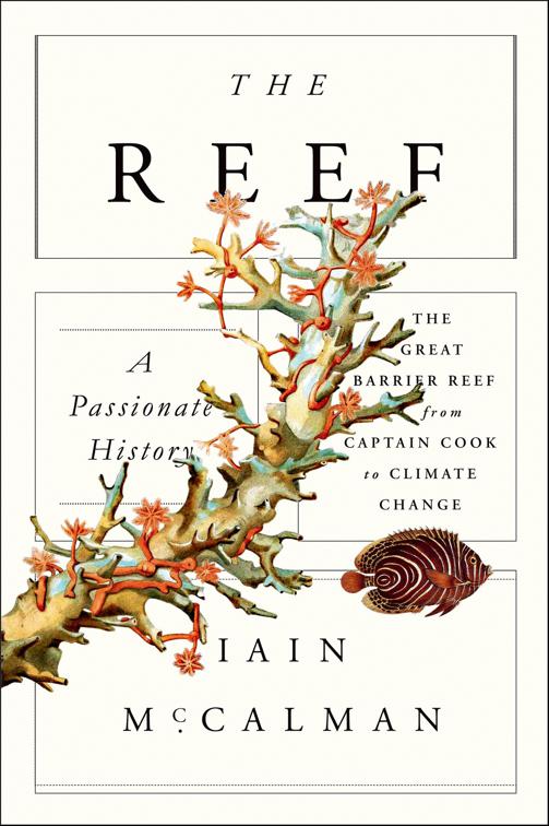 Reef